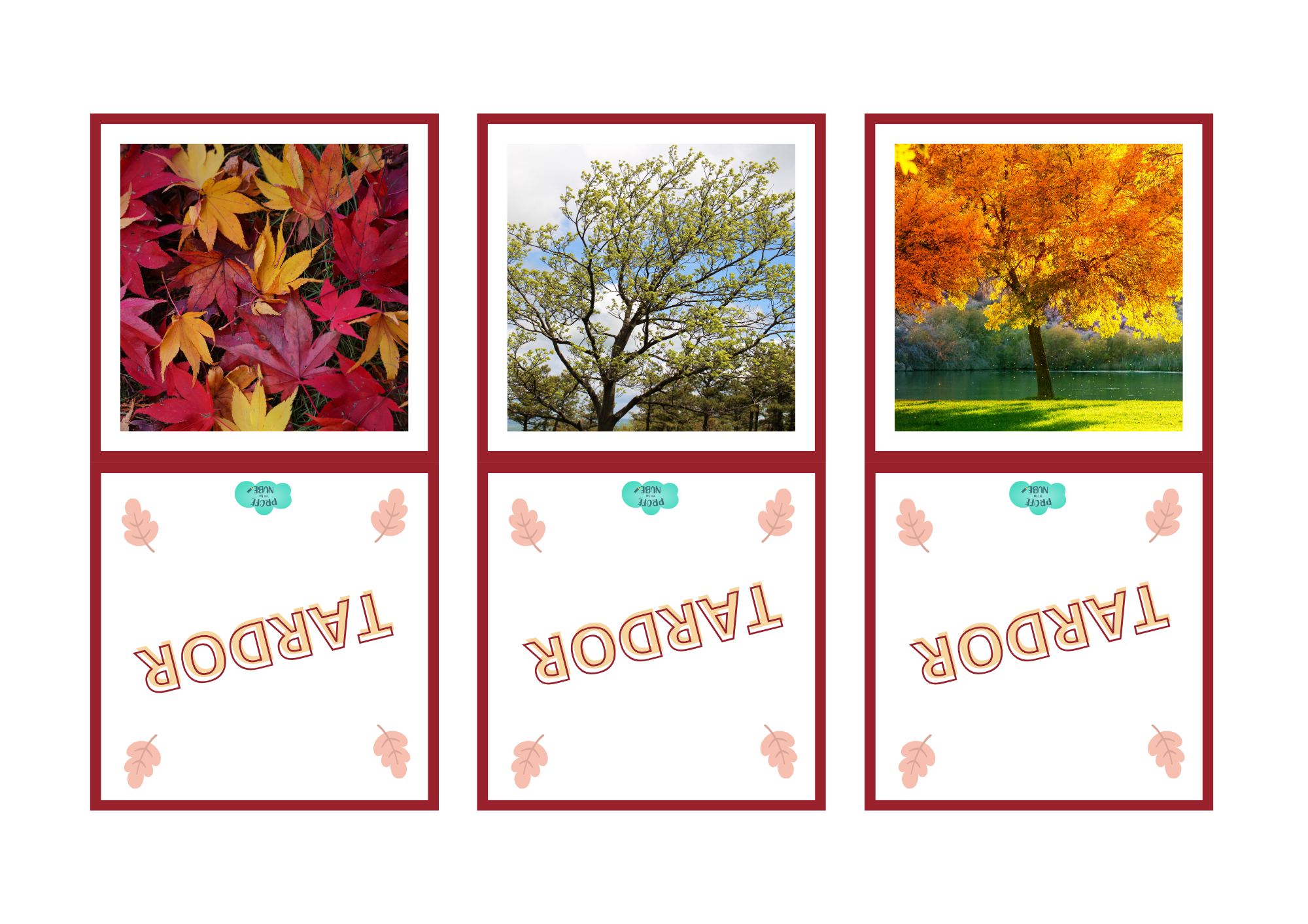 MEMORY OTOÑO - Imagen 2